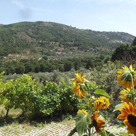 瓜尔达Quinta Do Pina公寓 外观 照片