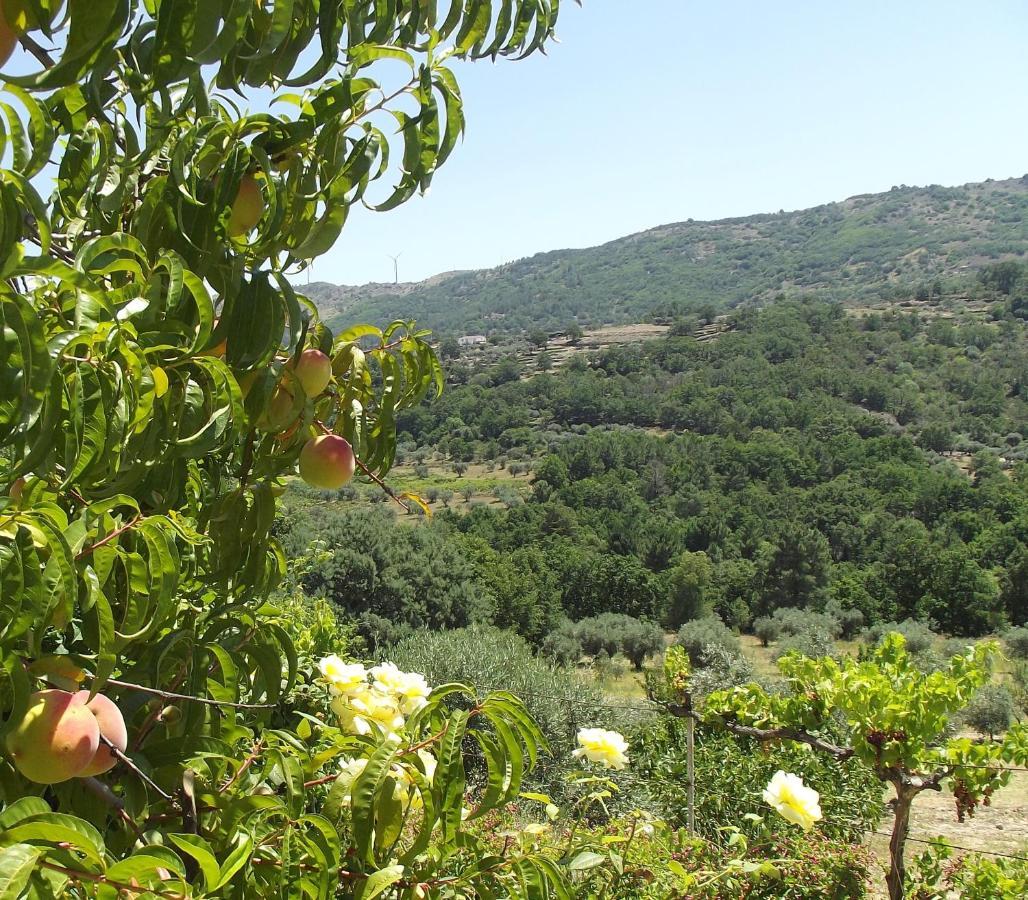 瓜尔达Quinta Do Pina公寓 外观 照片