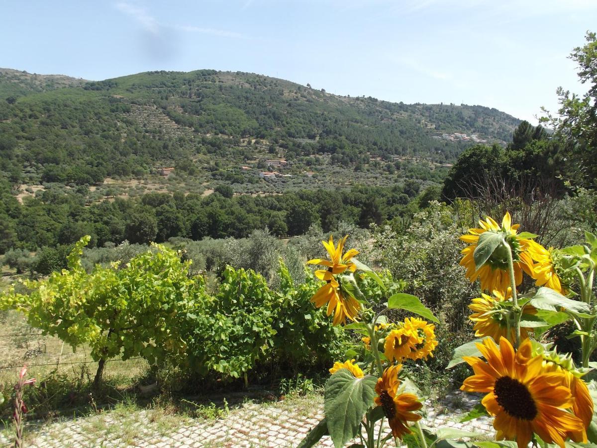 瓜尔达Quinta Do Pina公寓 外观 照片