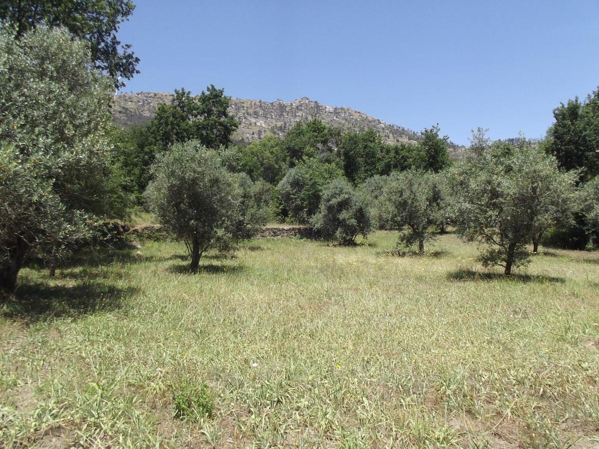 瓜尔达Quinta Do Pina公寓 外观 照片