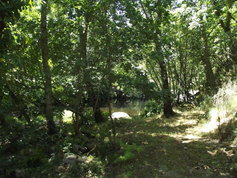 瓜尔达Quinta Do Pina公寓 外观 照片