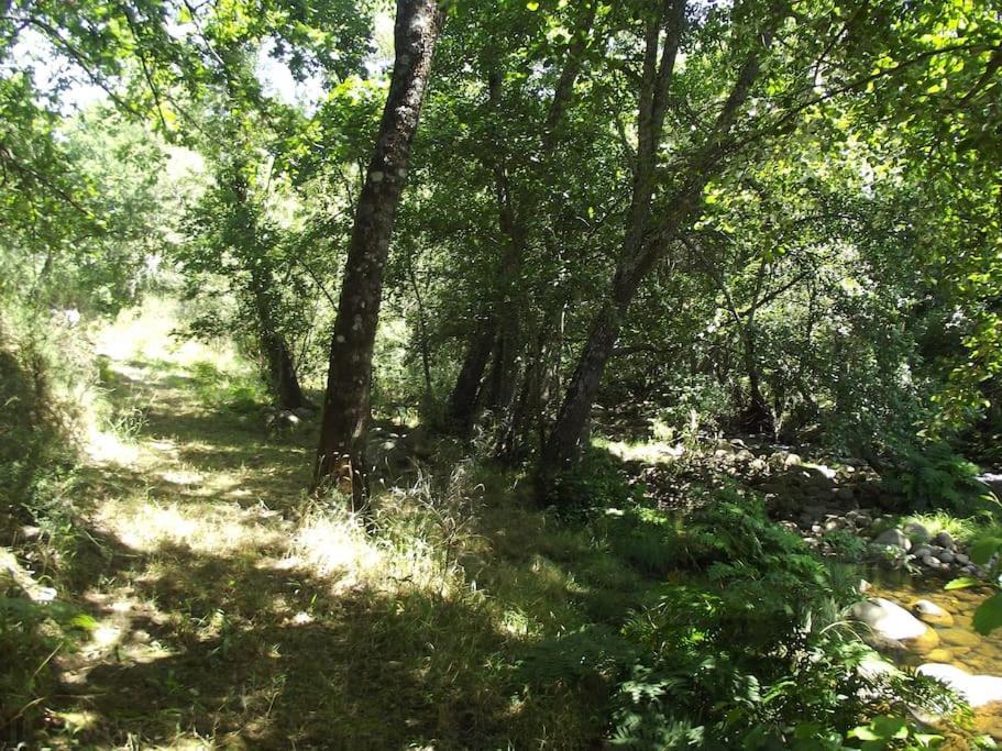 瓜尔达Quinta Do Pina公寓 外观 照片