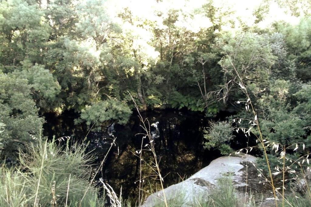 瓜尔达Quinta Do Pina公寓 外观 照片